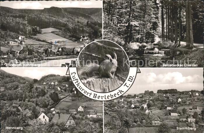 Berlebeck Blick vom Hahnberg Berlebecker Quellen Stemmberg Eichhoernchen
