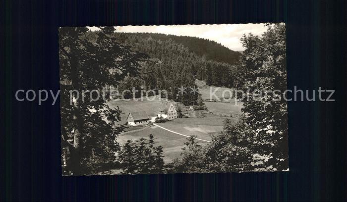 FREUDENSTADT BW Christofstal mit Baerenschloesschen