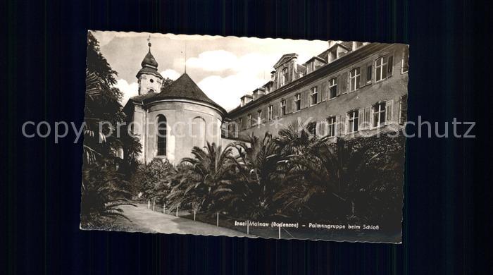 Insel Mainau Palmengruppe beim Schloss