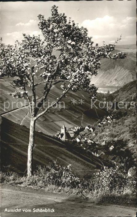 Bacharach Rhein Aussicht vom Schoenblick