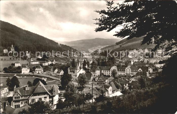 Herrenalb Bad Herrenalb Panorama