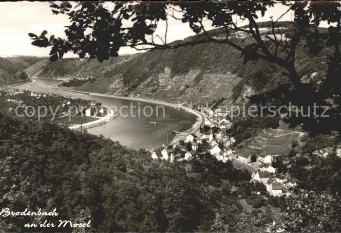 Brodenbach Moselpartie