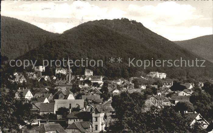 Bad Harzburg Gesamtansicht