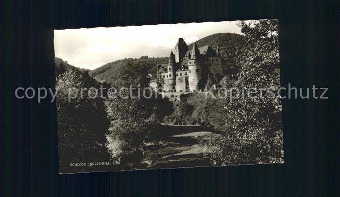 Mayen Schloss Buerresheim