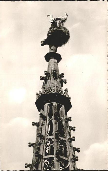 Buehl Baden Wahrzeichen der Stadt Storchennest