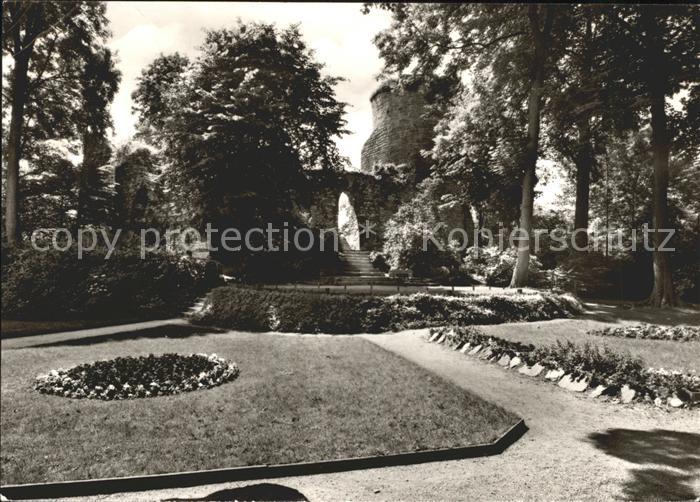 Polle Burgruine Park