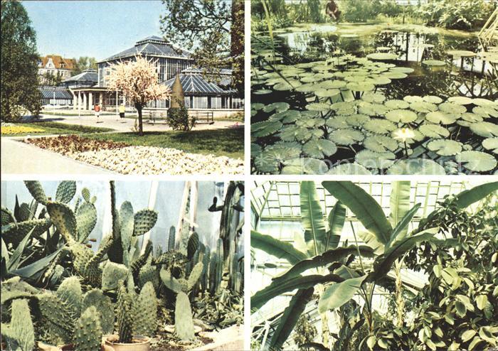 Poznan Posen Palmenpark