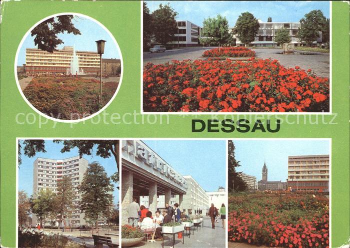 Dessau-Rosslau Bauhaus Hochhaus Cafe Africana