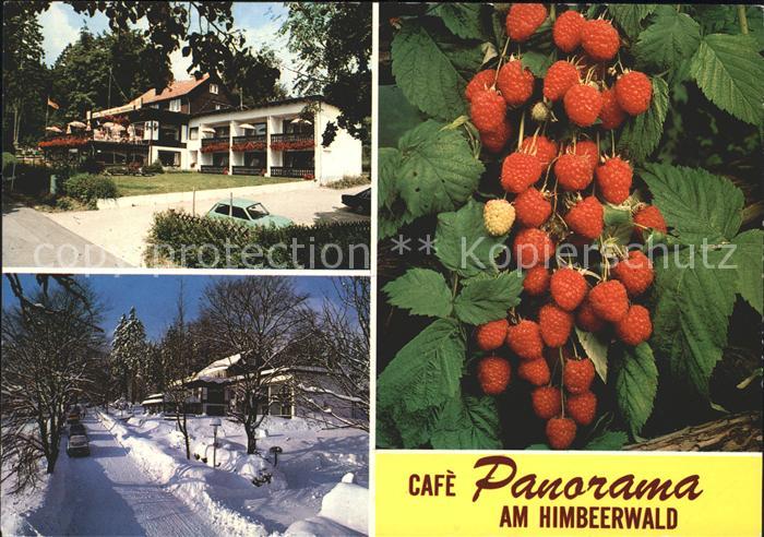 Braunlage Harz Pension Cafe Panorama am Himbeerwald