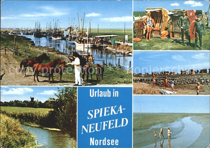 Spieka-Neufeld Bootsanlegestelle Pferde Strandpartien