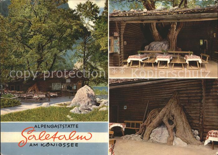 Koenigsee Berchtesgaden Alpengaststaette Saletalm Vesperplatz Baumwurzel