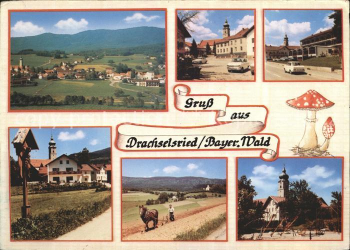 Drachselsried Panorama Strassenpartien Wegekreuz Pferdepflug Kirche