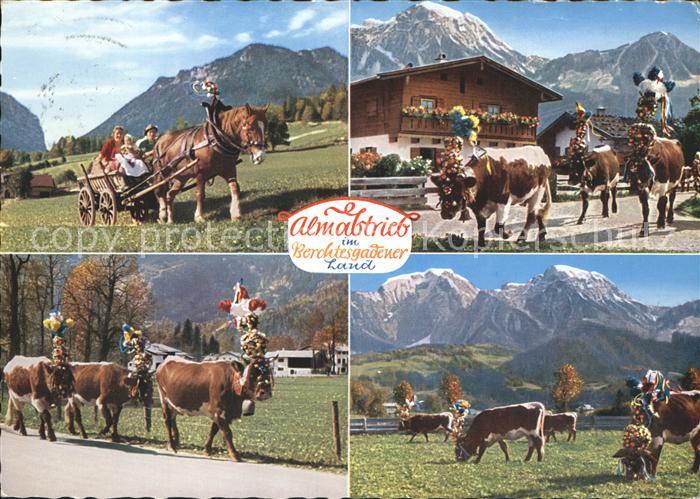 BERCHTESGADEN Bayern Almabtrieb im Berchtesgadener Land