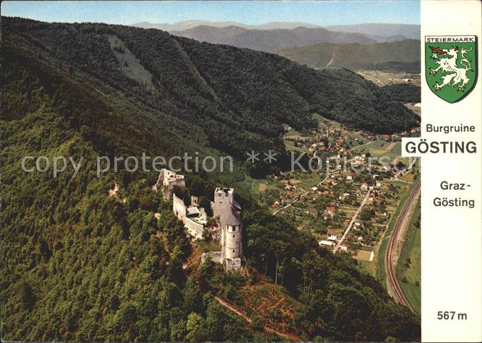 Goesting Burgruine Goesting Fliegeraufnahme