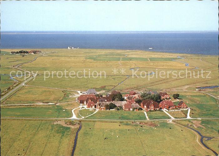 Hallig Hooge Hanswarft Backenswarft Fliegeraufnahme