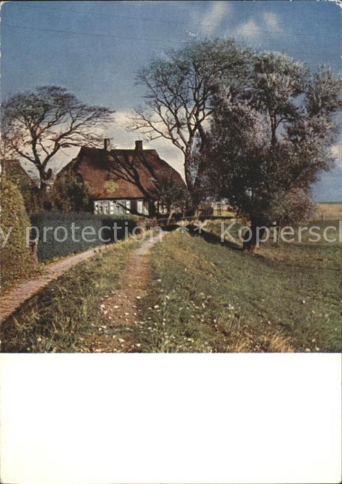 Ahrenshoop Ostseebad Haus Bodden