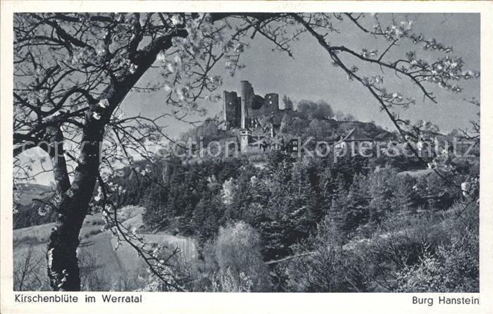 Bornhagen Kirschenbluete im Werratal Burg Hanstein