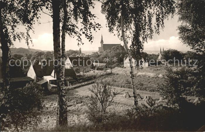 Neuzelle Partie an der Gartenstrasse Handabzug