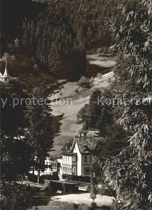 Lauterbach Schwarzwald Cafe Restaurant Pension Tannenhof Luftkurort