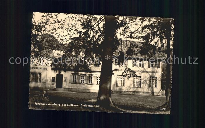 Stolberg Harz Forsthaus Auerberg Luftkurort