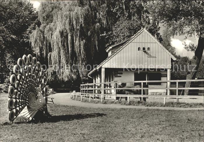 Bischofswerda Tierpark Pfau