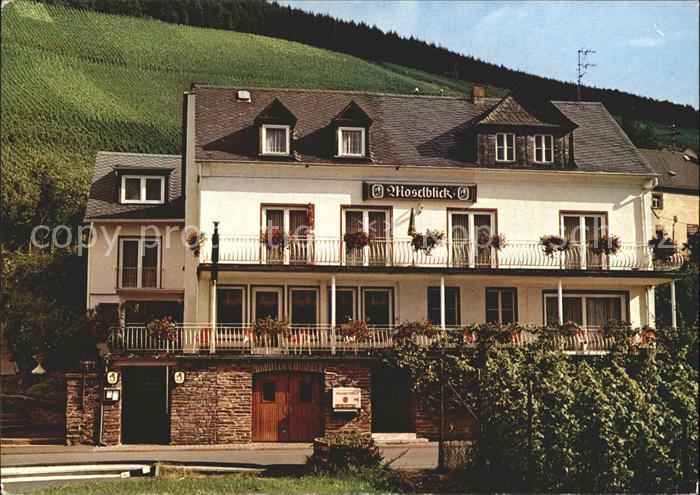 Burg Mosel Gasthaus Pension Moselblick
