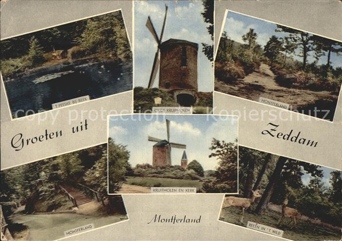 Zeddam Montferland Teich Windmuehle Landschaft Reh