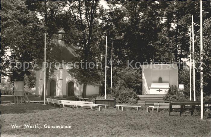 Werl Westfalen Gaensevoehde