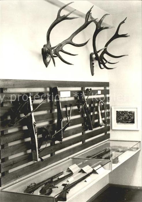 DRESDEN Elbe Technische Universitaet Sektion Forstwirtschaft Waffensammlung