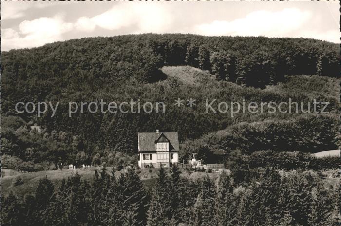 Berlebeck Adlerwarte Luftkurort Teutoburger Wald