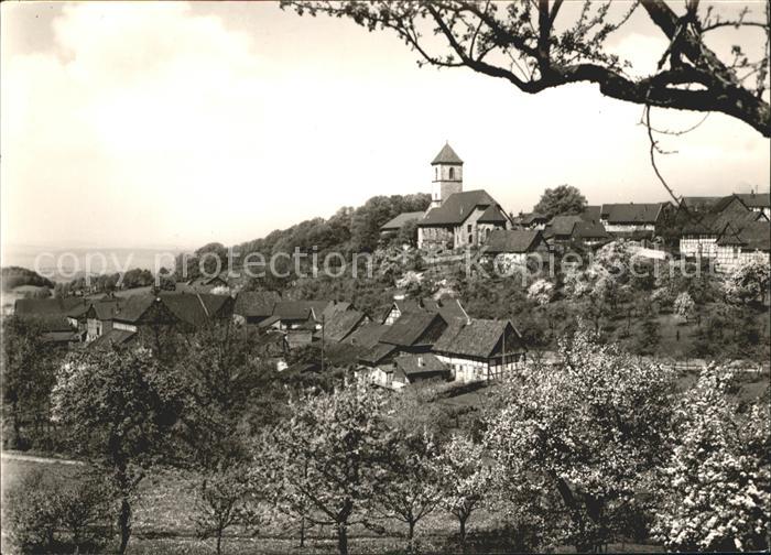 Nikolausberg Ortsansicht mit Kirche Luftkurort Baumbluete