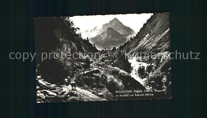 Badgastein Baerenfall und Schareck