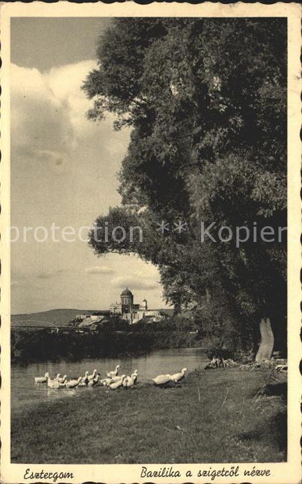 Esztergom Bazilika a szigetroel nezve