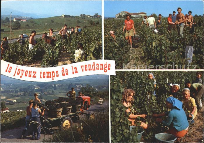 Beaune Cote d Or Burgund Le joyeux temps de la vendage