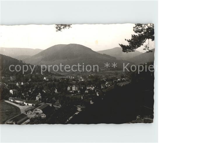 Bad Herrenalb Panorama