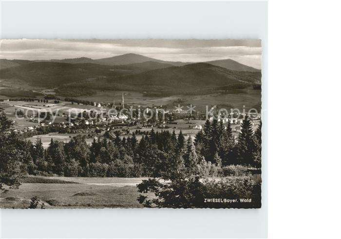 Zwieselberg Bayern Panorama
