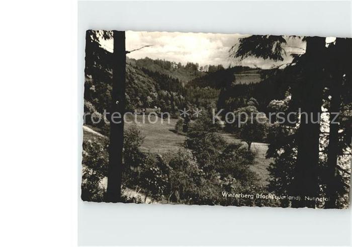 Winterberg Hochsauerland Nuhnetal