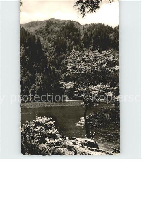 Feldberg Schwarzwald mit Feldsee