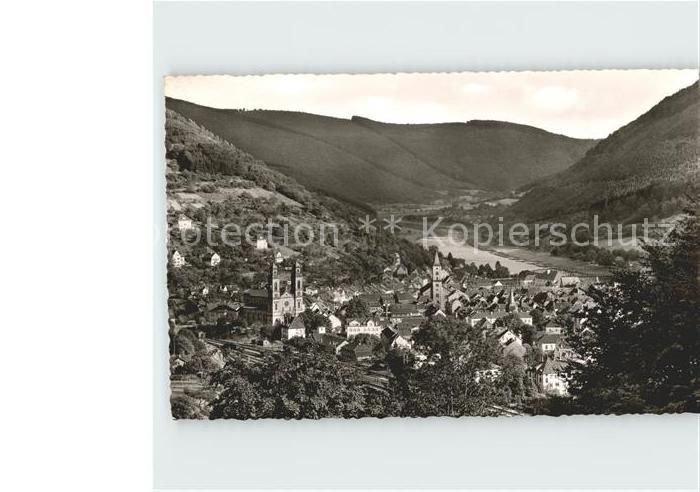 Eberbach Neckar Panorama