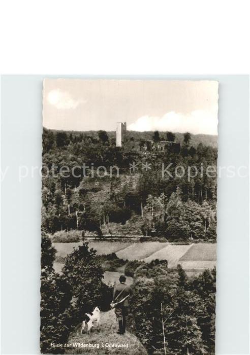 Amorbach Miltenberg Burg Wildenburg Odenwald