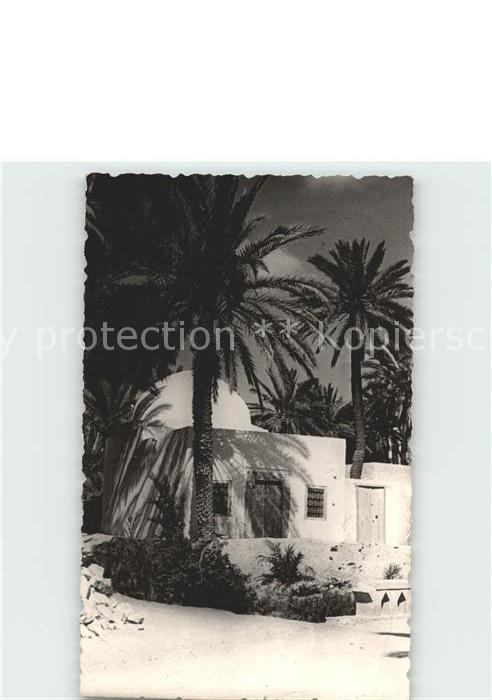 Tunesien Dans une Oasis