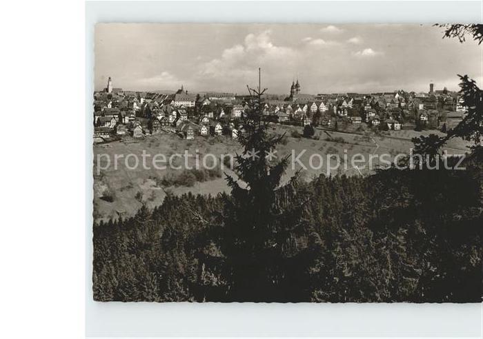 FREUDENSTADT BW Panorama