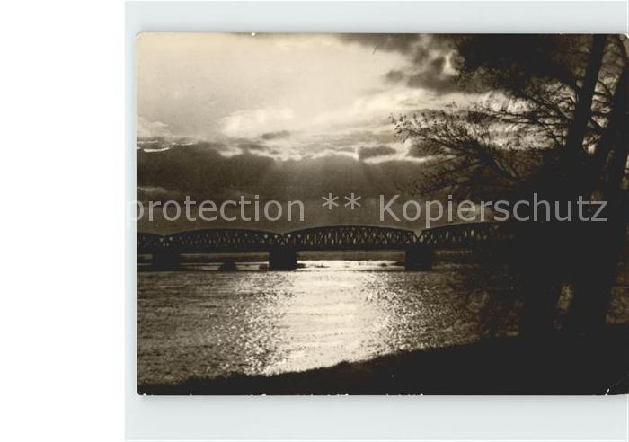 Wittenbergen Elbe Elbpartie Bruecke