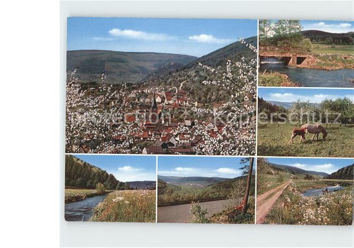 Schneeberg Unterfranken Panorama Landschaften Bruecke Pferde Gasthof Pension zum