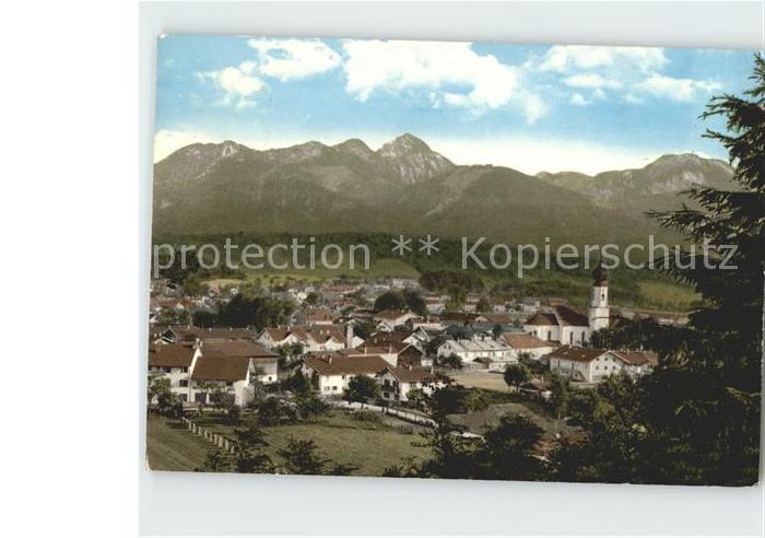 Endorf Teisendorf Panorama mit Alpenkette
