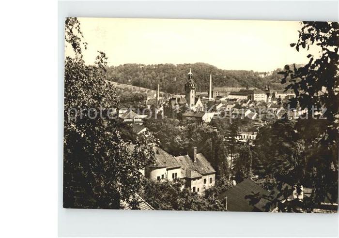 Waldheim Sachsen Ortsblick