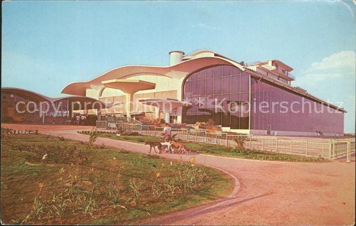 Ciudad Juarez Hipodromo Galgodromo