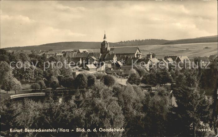 Benneckenstein Gondelteich