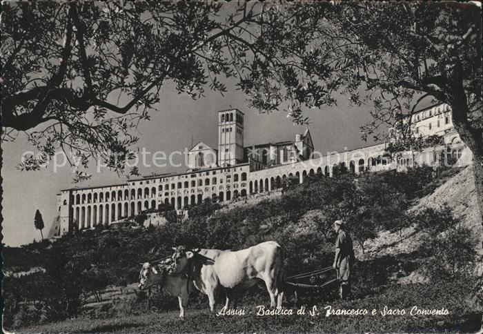 Assisi Umbria Basilica S Francesco Sacro Convento