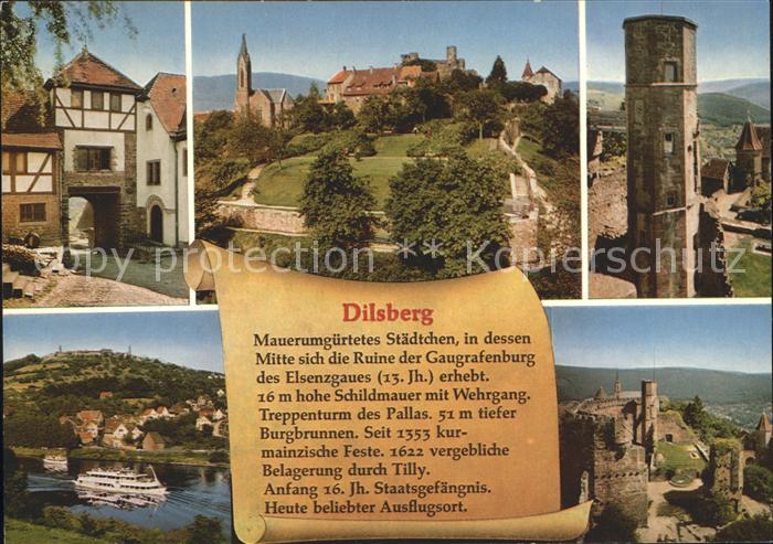 Dilsberg Ruine Gaugrafenburg Faehre